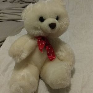 Teddy bear